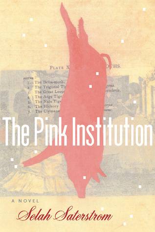 The Pink Institution