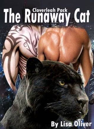 The Runaway Cat