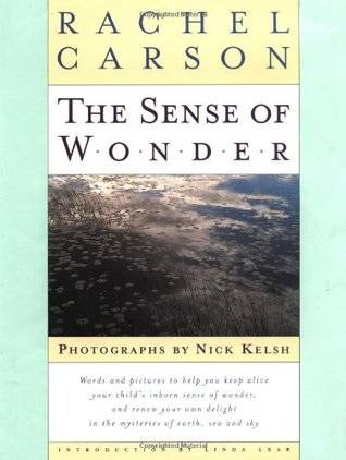 The Sense of Wonder