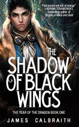 The Shadow of Black Wings