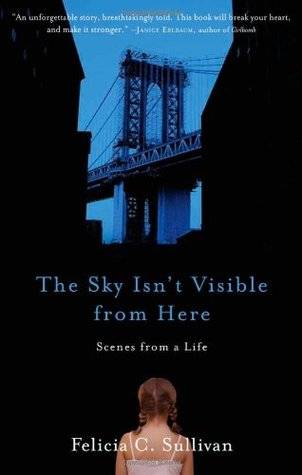 The Sky Isn't Visible from Here: Scenes from a Life