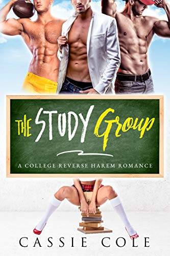 The Study Group: A College Reverse Harem Romance