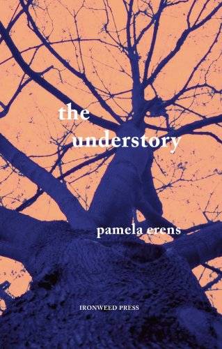 The Understory