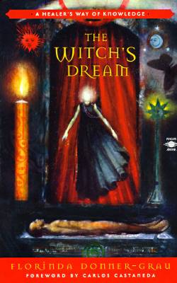 The Witch's Dream: A Healer's Way of Knowledge