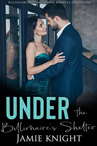 Under the Billionaire's Shelter: Billionaire and Single Mom Romance Collection