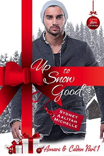 Up to Snow Good: A BWWM Christmas Novella