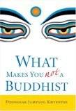 What Makes You Not a Buddhist