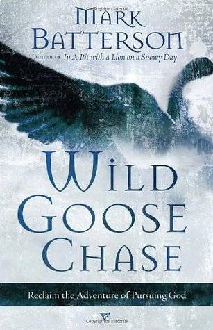 Wild Goose Chase: Reclaim the Adventure of Pursuing God