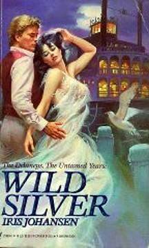 Wild Silver (The Delaneys, #9)