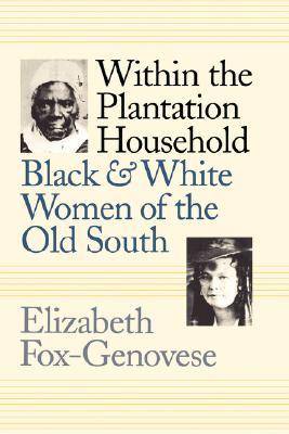 Within the Plantation Household: Black and White Women of the Old South